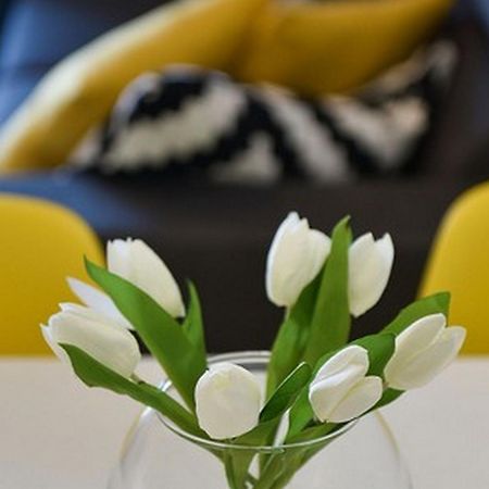 Mediterraneo Garden Apartments Petrcane Cameră foto