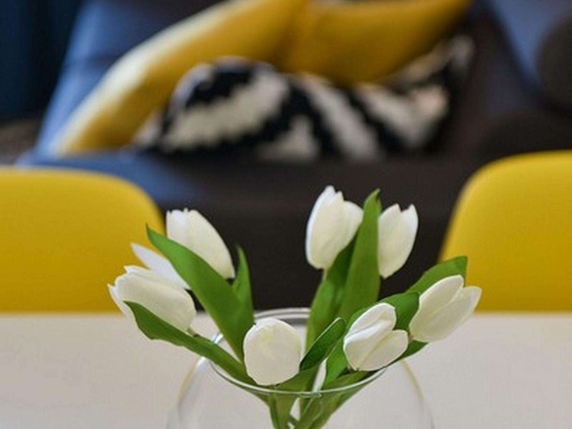 Mediterraneo Garden Apartments Petrcane Cameră foto